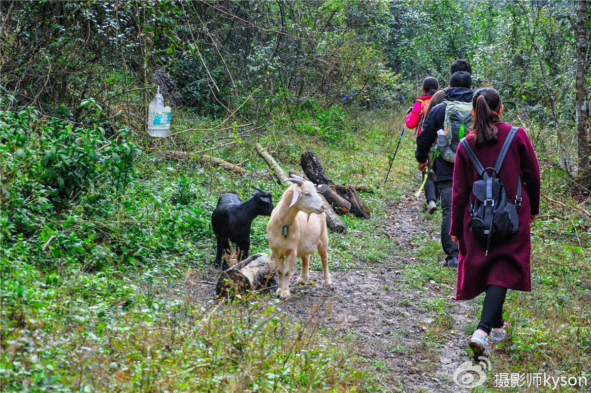 侠之梦受邀参与恩施坪坝营线路测试，冬季溯溪，冰冷刺骨，第一天