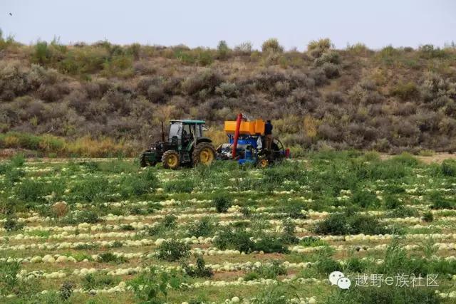 说走就走出去溜达,说走就走出去玩视频