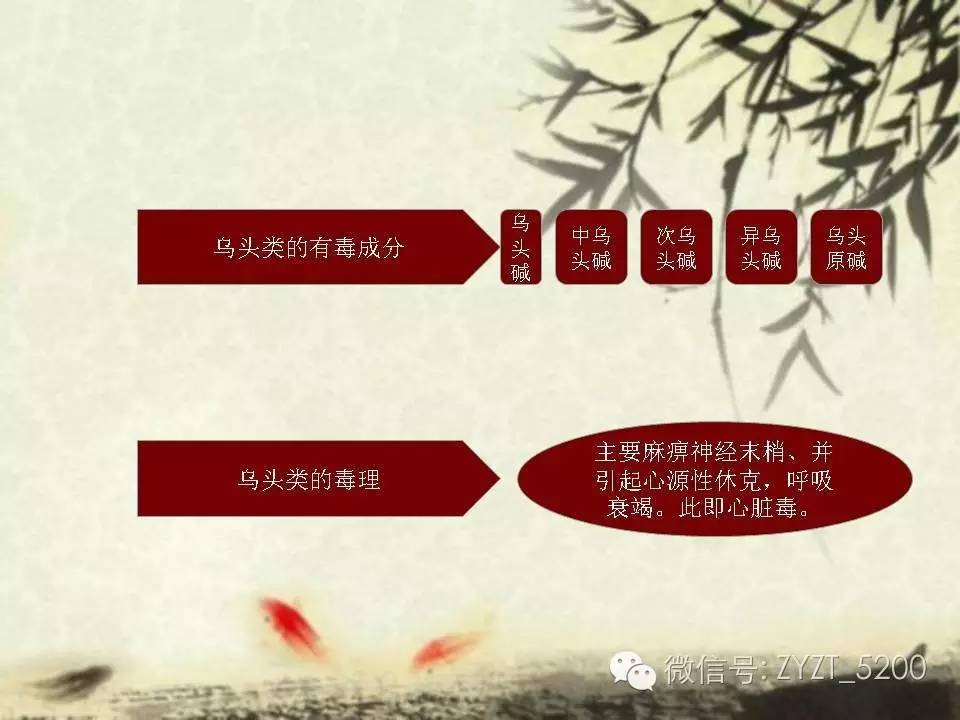 高鑫风湿医生,高鑫中医