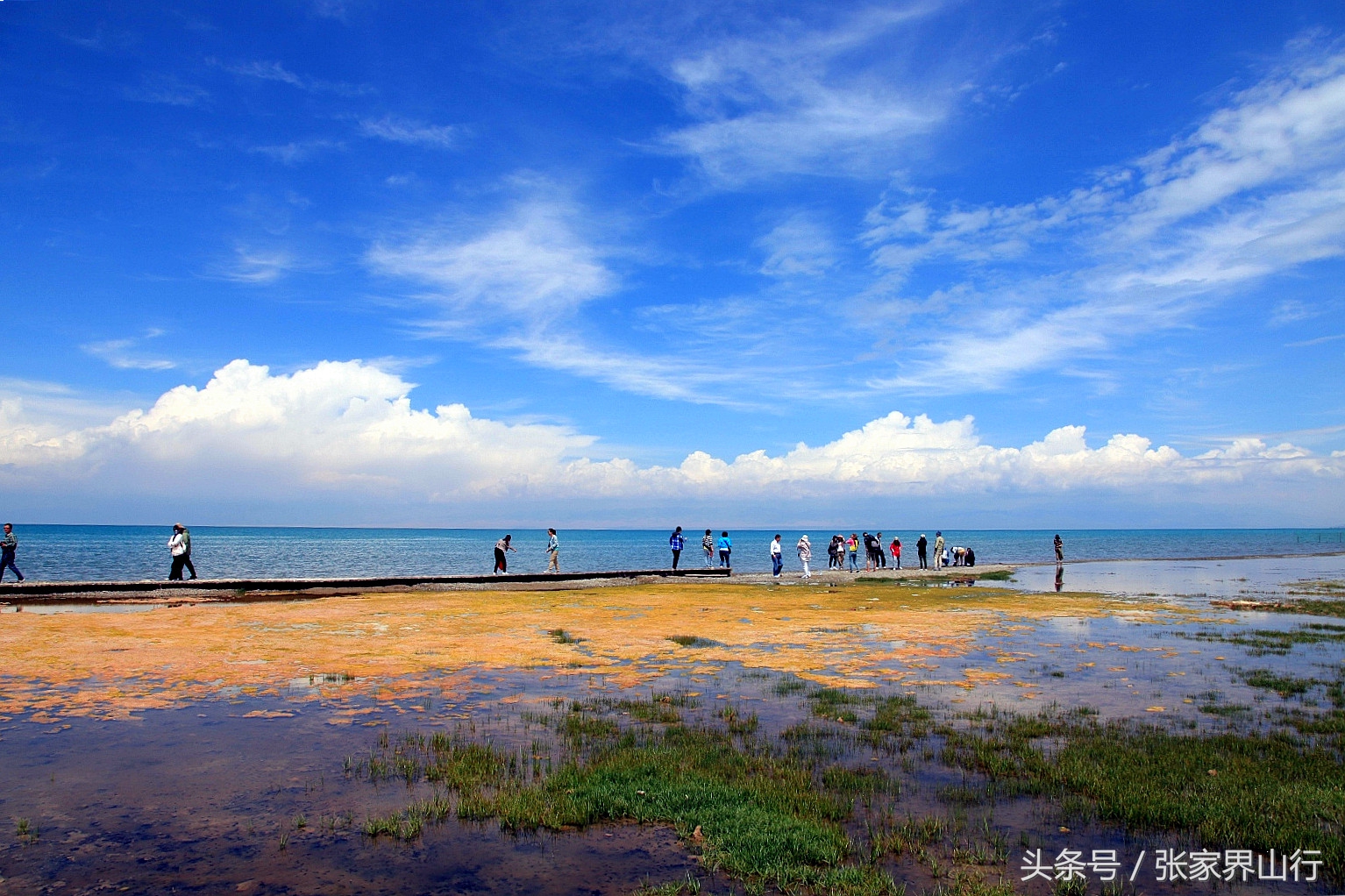 青海拉面和兰州拉面,兰州拉面青海拉面