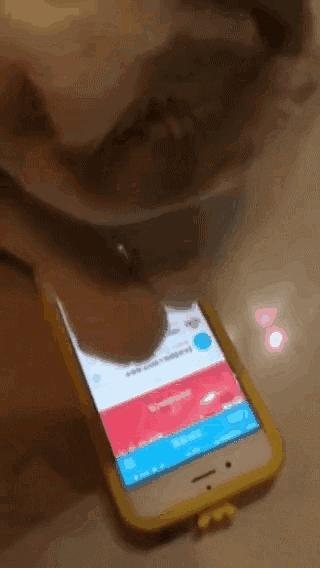 南通学区房政策调整？谣言！不过热门学区房价格给你问好了