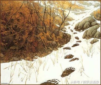 方言笑话心灵鸡汤,开心笑话心灵鸡汤