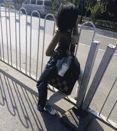 河北细狗抓兔子视频,抓兔子的细狗