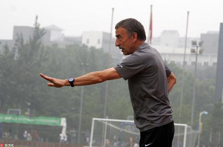 鲁能青训天才教练,鲁能青训主教练