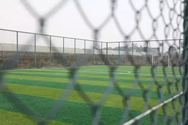 成都龙泉驿足球场规划,即将建成或在建的足球场