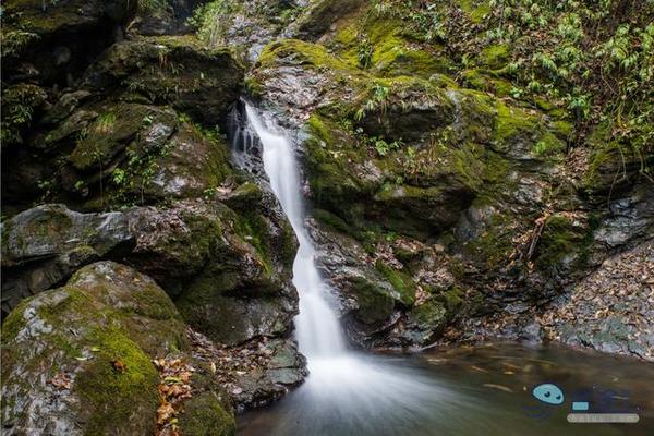 戏猴、爬山、观瀑布，那就跟我去卧龙谷！