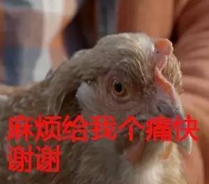 作为摄影师的“鸡”，你必须扛得起相机、拍得了防抖视频！