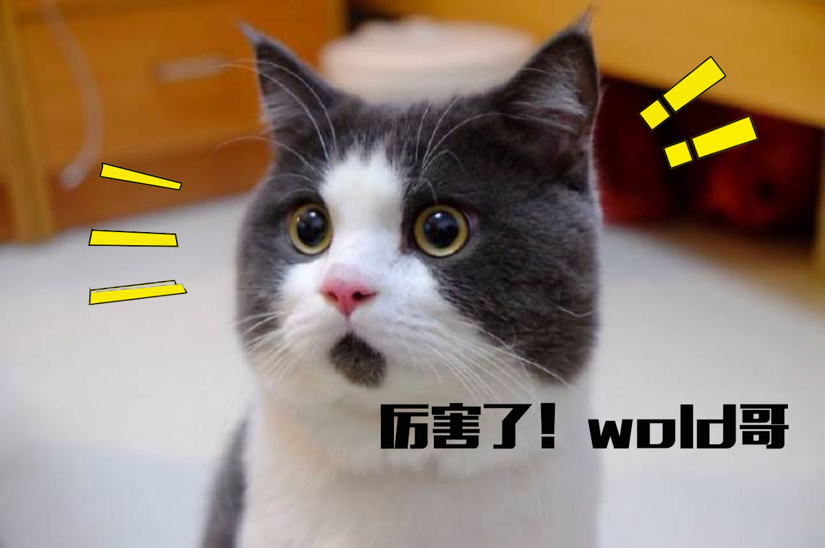 前方高能！79敏水单挑百年象精！中州道友纷纷电贺！