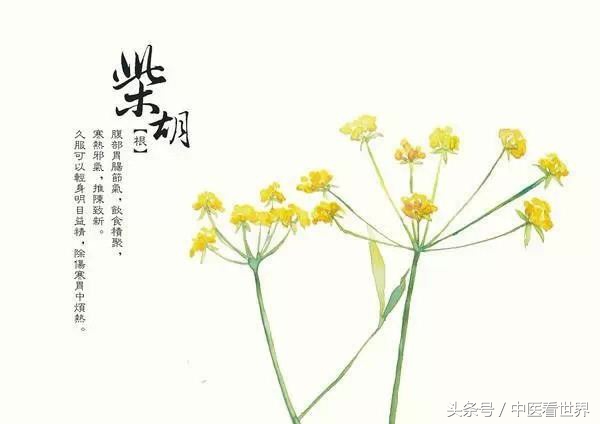 妇女思男子而不可得！一服此草，升阳举陷，疏肝解郁！