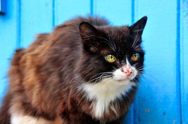 一个女人自驾游真实感受,一个女生突然开始疯狂旅游