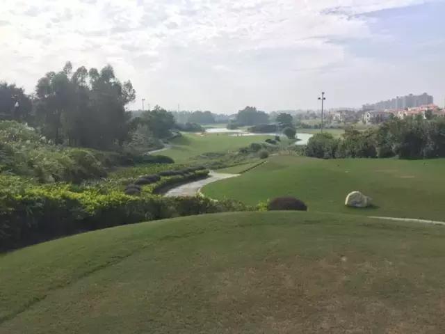 世界冠军专程助阵,为参赛球队提供总决赛球场最全攻略