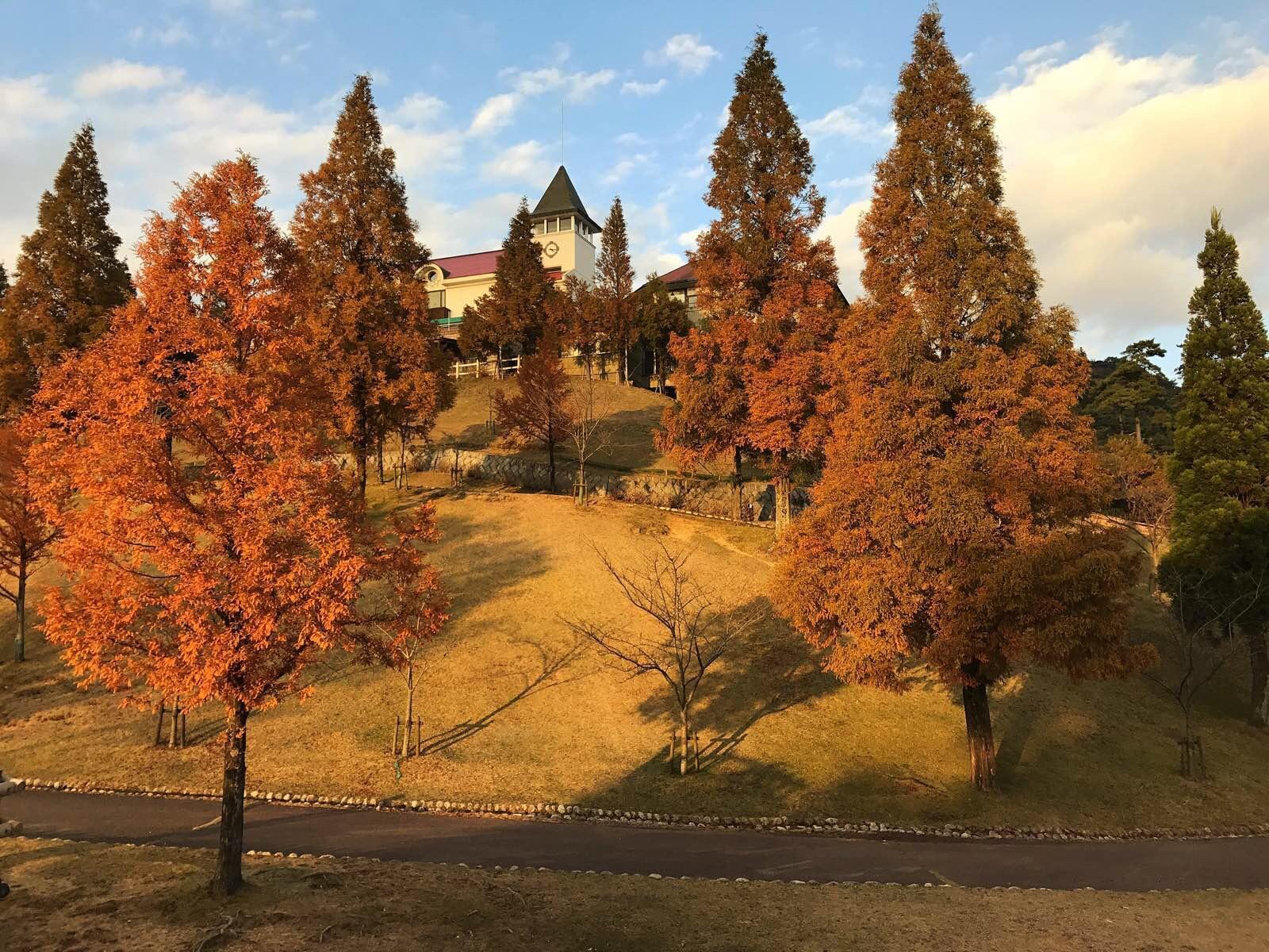 关西温泉六日游,大阪关西机场温泉