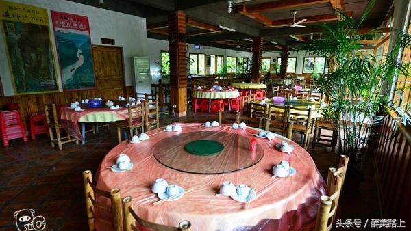 连州菜心拍卖最高价,至尊连州菜心什么价