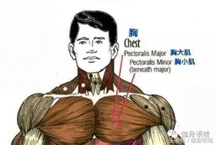 如何制定篮球训练计划,keep咋制定训练计划