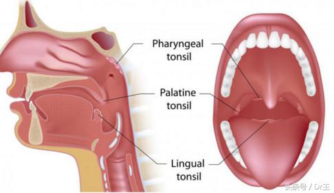 口腔异味感觉黏糊糊的,口腔咳出恶臭颗粒