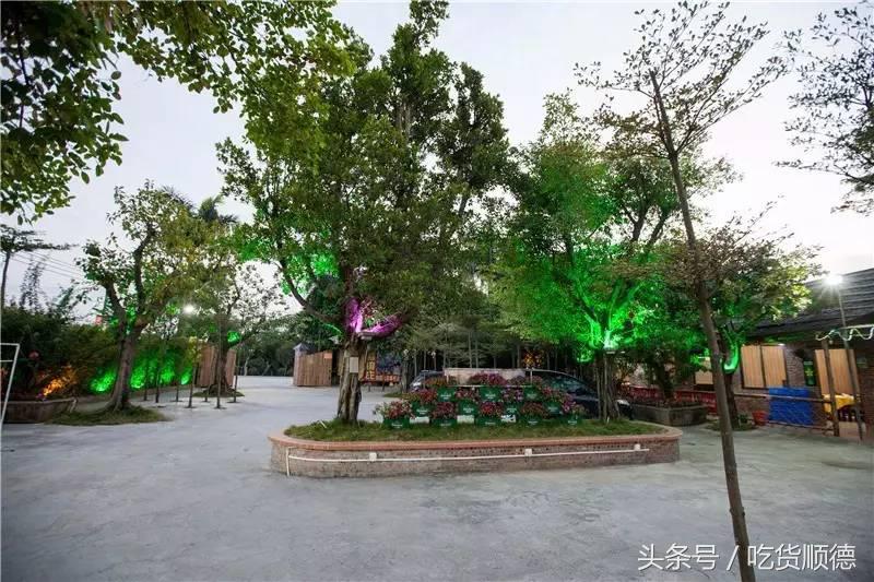 顺德有一家农庄,广东顺德生态农庄