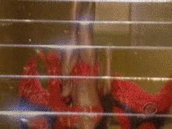 衣不如新人不如旧出处,衣不如新人不如旧下一句