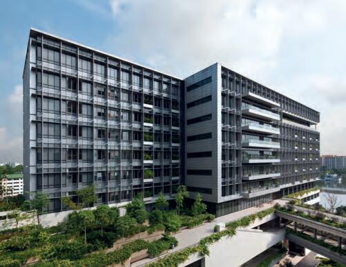 新加坡医疗保健体系如何成为亚洲第一，种下芝麻，长出西瓜！