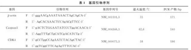 「民族肿瘤学」高良姜素对宫颈癌SiHa细胞凋亡及基因表达的影响
