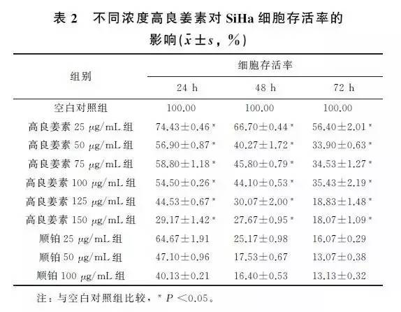 「民族肿瘤学」高良姜素对宫颈癌SiHa细胞凋亡及基因表达的影响