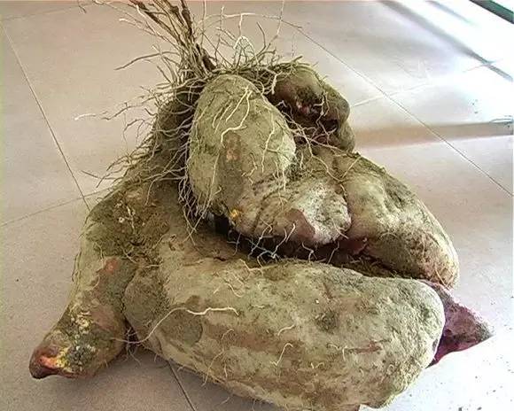 赣州美食不打烊,赣州美食推荐过年不打烊