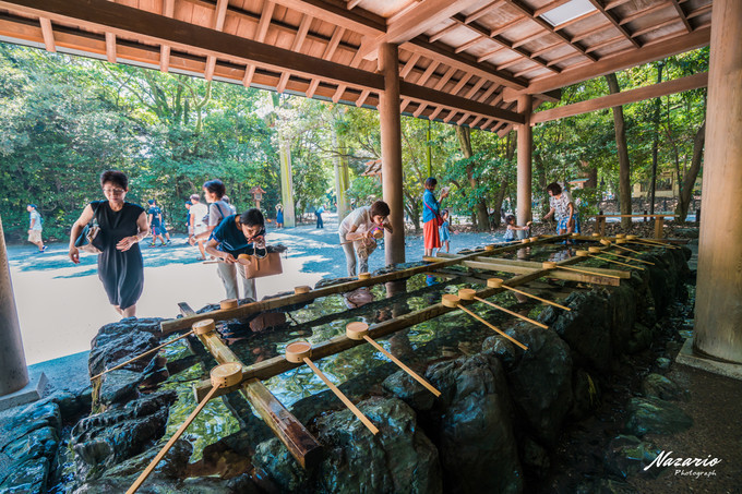 粉红猪小妹与小猪佩奇,粉红猪小妹的快乐生活