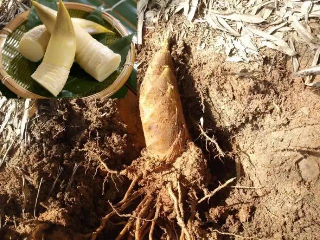 赣州美食不打烊,赣州美食推荐过年不打烊