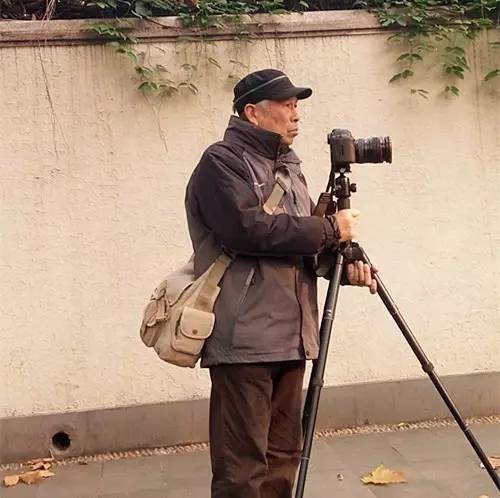 上海落叶不扫景观道,上海秋天不扫落叶的街道