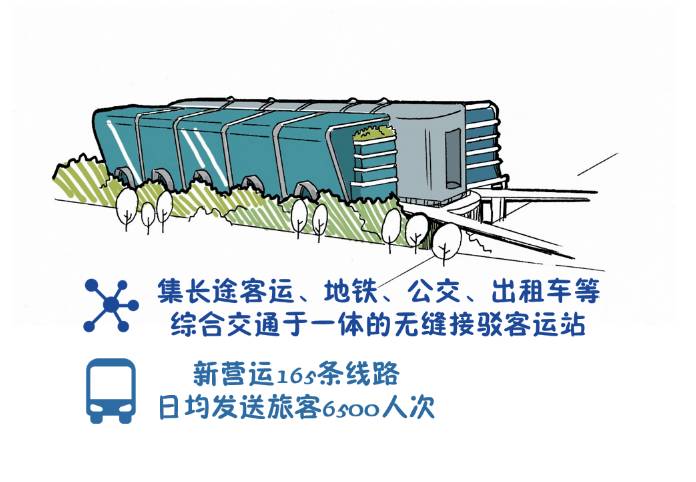 深马周日开跑官方,深马比赛视频完整版