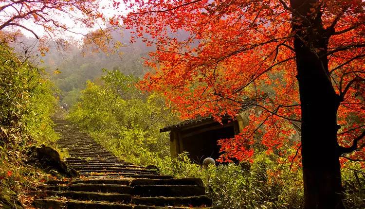 灵山县美丽风景图片高清大图,灵山秀水镇美景