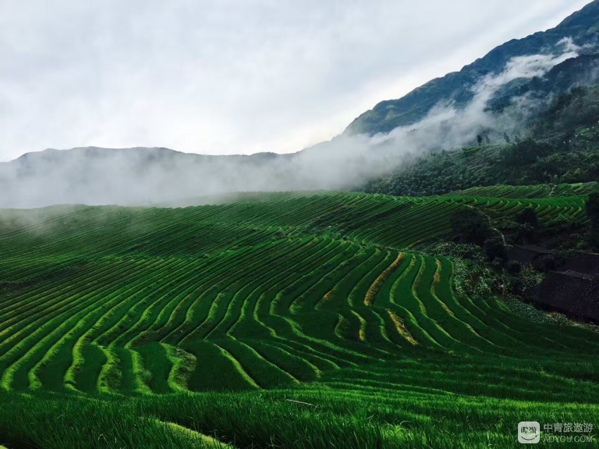 小表妹穷游中国,姐妹团穷游中国