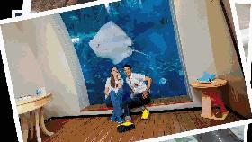 新加坡过圣诞节感受 (新加坡的春节怎么过)