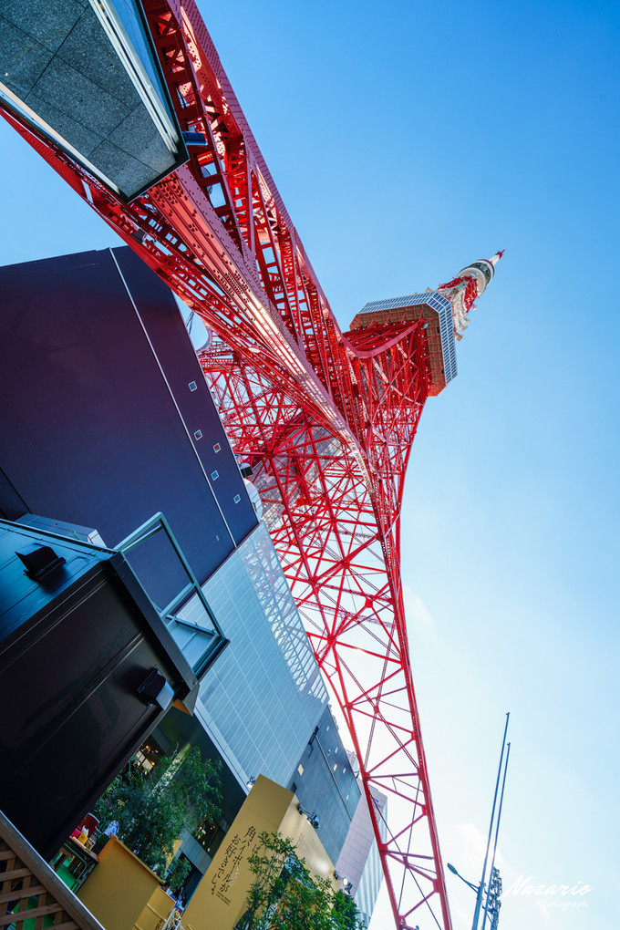 粉红猪小妹与小猪佩奇,粉红猪小妹的快乐生活