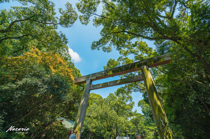粉红猪小妹与小猪佩奇,粉红猪小妹的快乐生活