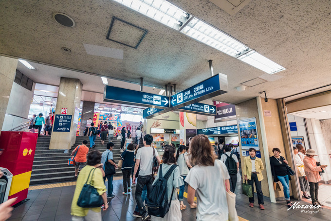 粉红猪小妹与小猪佩奇,粉红猪小妹的快乐生活