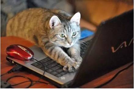 春运火车票下周,春运期间怎样可以抢到火车票