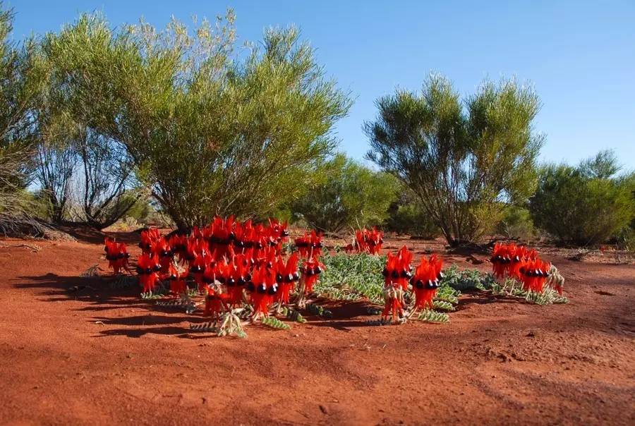 中国最孤独的酒店,世界最孤独的酒店安缦