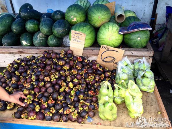 仙本那考潜水证日程,去仙本那潜水要考什么证