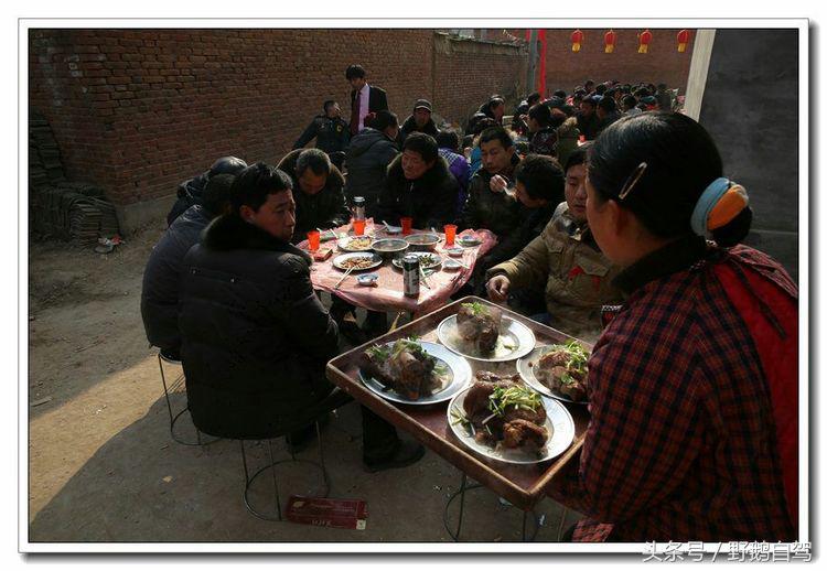 野鹅自驾甘肃,野鹅自驾