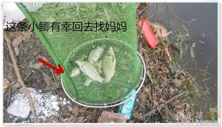 两钓一闲水凑成一个发