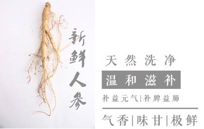 人参红参生晒参,人参西洋参怎么吃效果最好