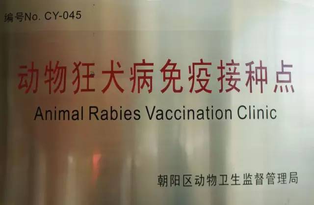 怎么分辨狗咬了要不要打针,被宠物狗咬多久打针