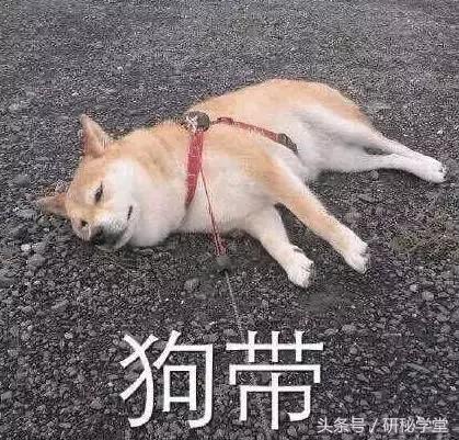 现在开始复习四六级还有希望吗,四六级新消息