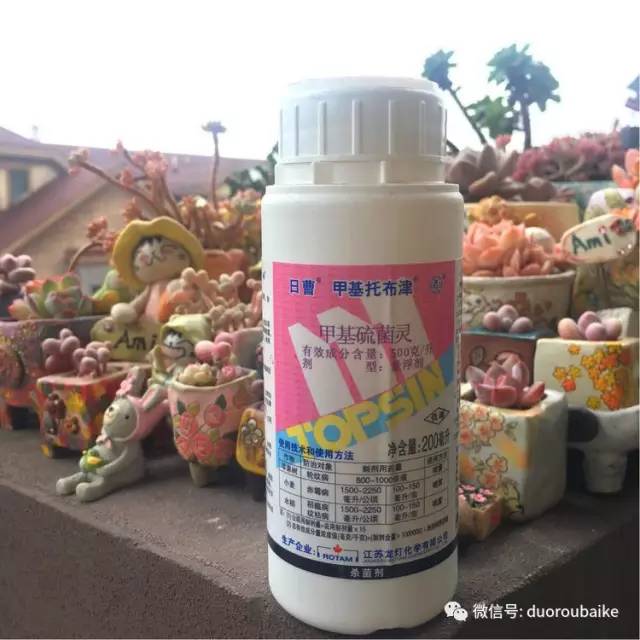 太实用了!图解多肉的配土及用药!