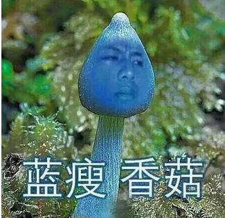 “蓝瘦香菇”？警惕破碎之心综合征