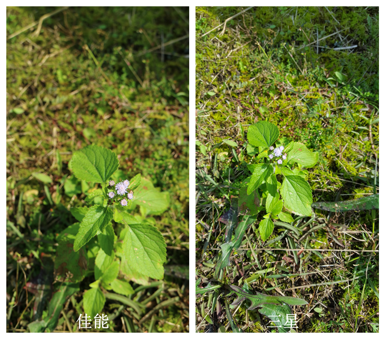 佳能微单相机推荐eosm3,eosm3