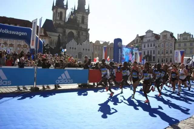 2017跑马时间表,2017年跑马时间