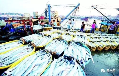 你以为这是“垃圾”!却不知有人这样用它们赚大钱!