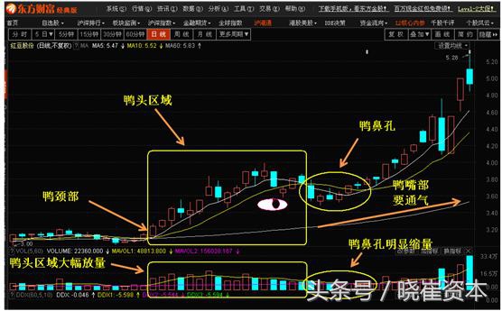 均线多头强势条件选股公式,均线选股三大绝密技巧