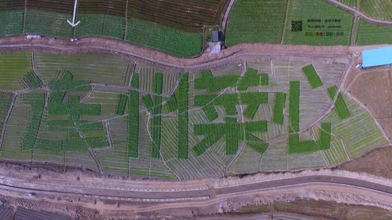 去连州有什么好玩的,清远连州旅游详细攻略